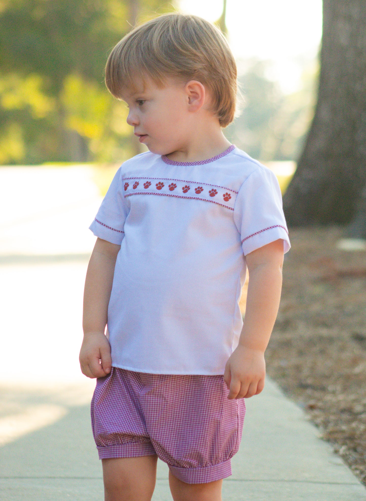 Maroon Gingham Paw Ribbon Short Set