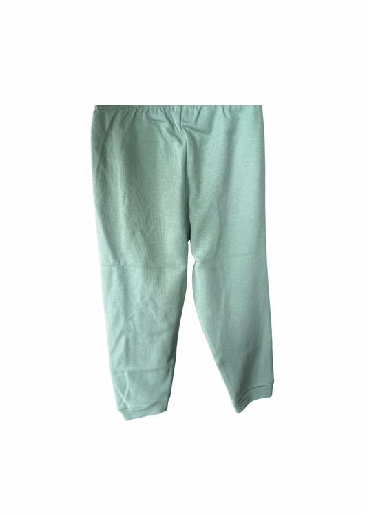 Jogger Pants in Light Green