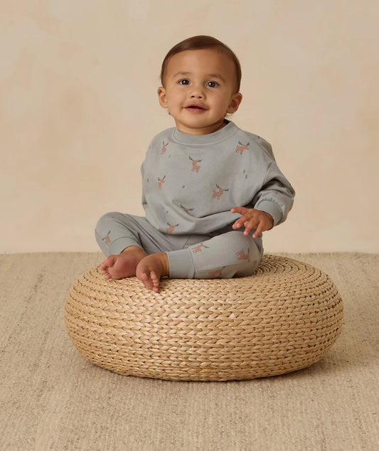 Relaxed Sweatshirt and Sweatpant Set in Moose