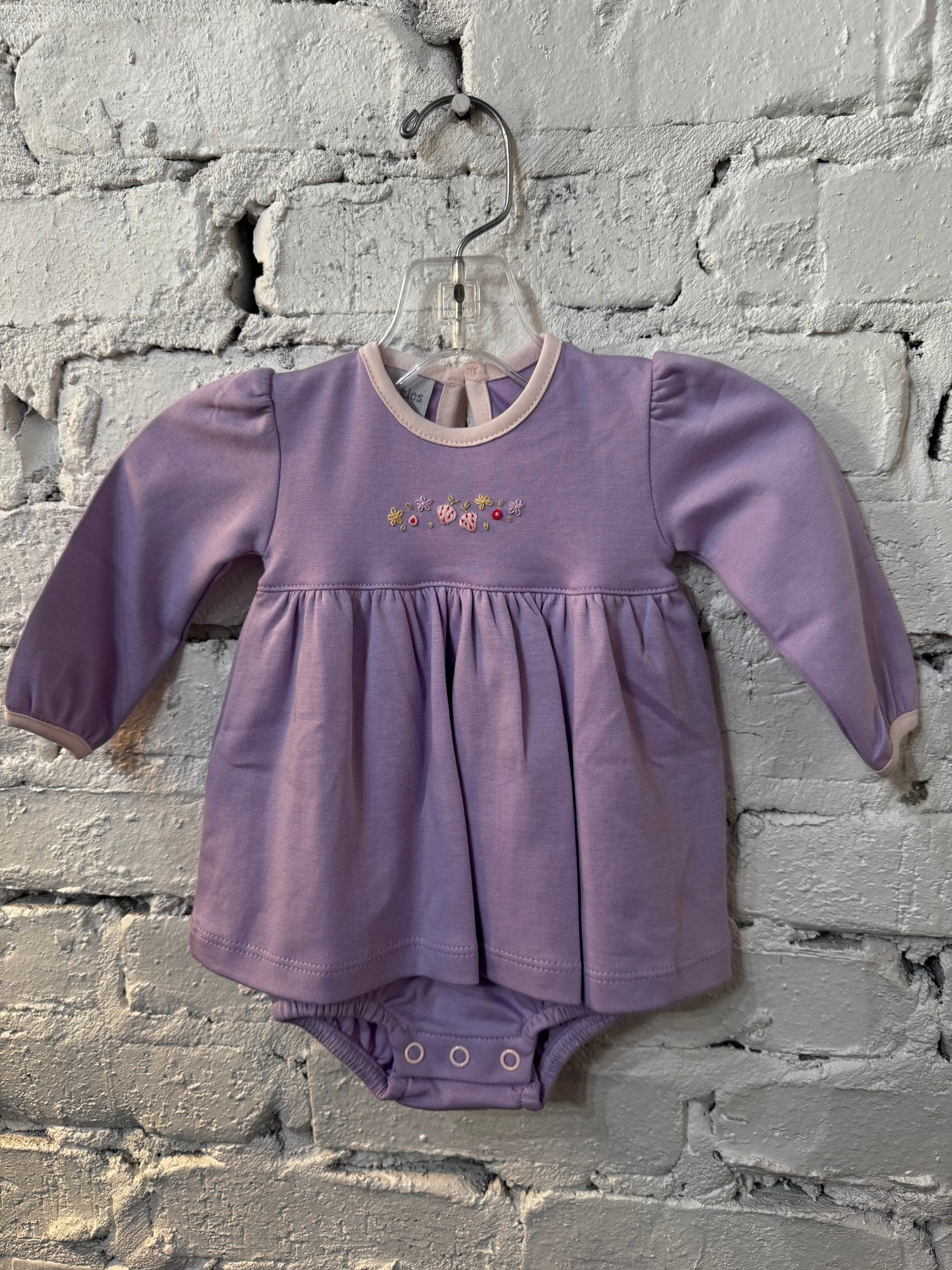 Strawberry Fields Onesie Dress